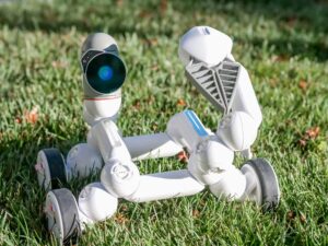 A small, white robotic device with wheels and a camera lens, positioned on green grass, resembling a playful, futuristic creature.