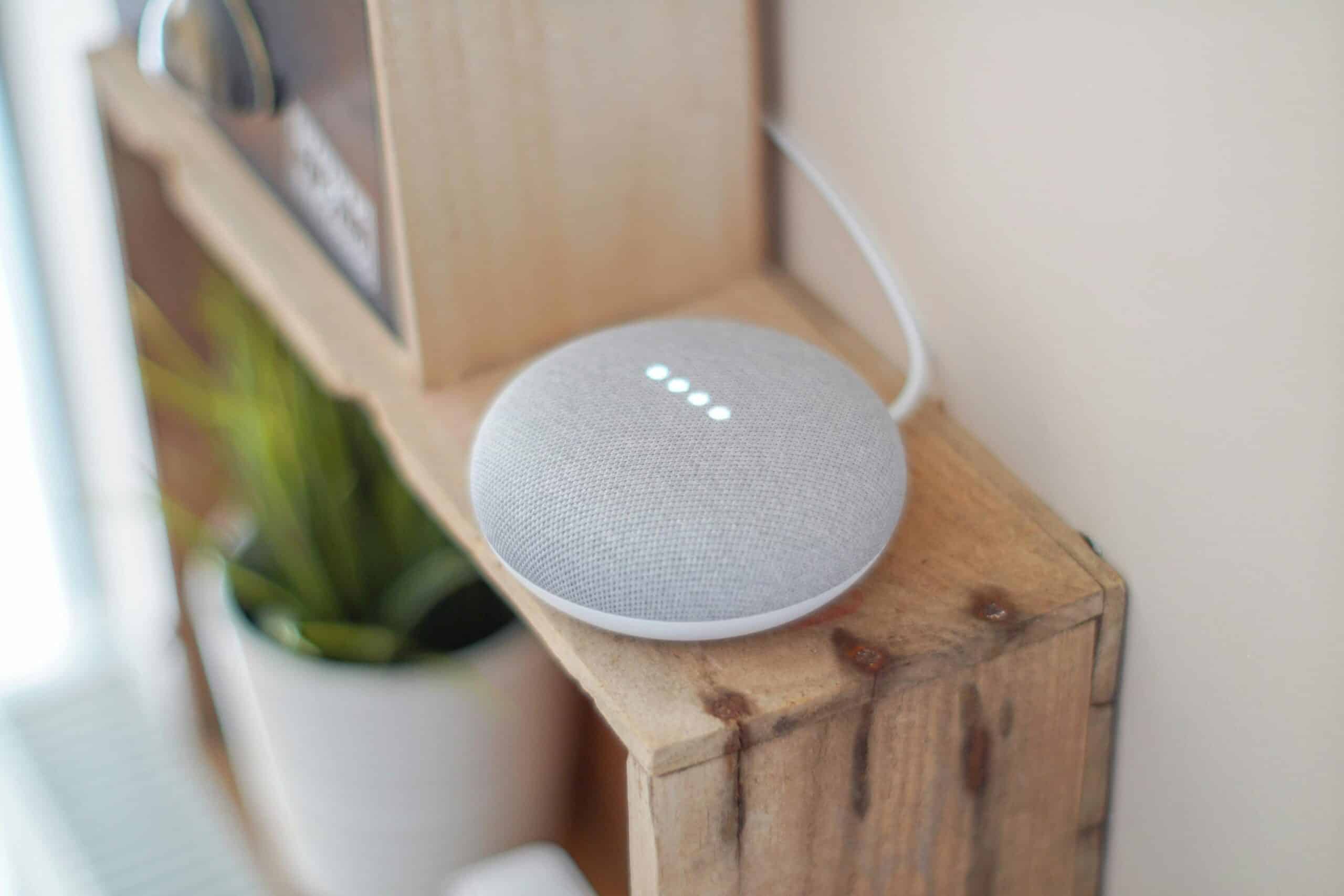 A gray smart speaker on a wooden shelf, with soft glowing lights, beside a green plant in a white pot.